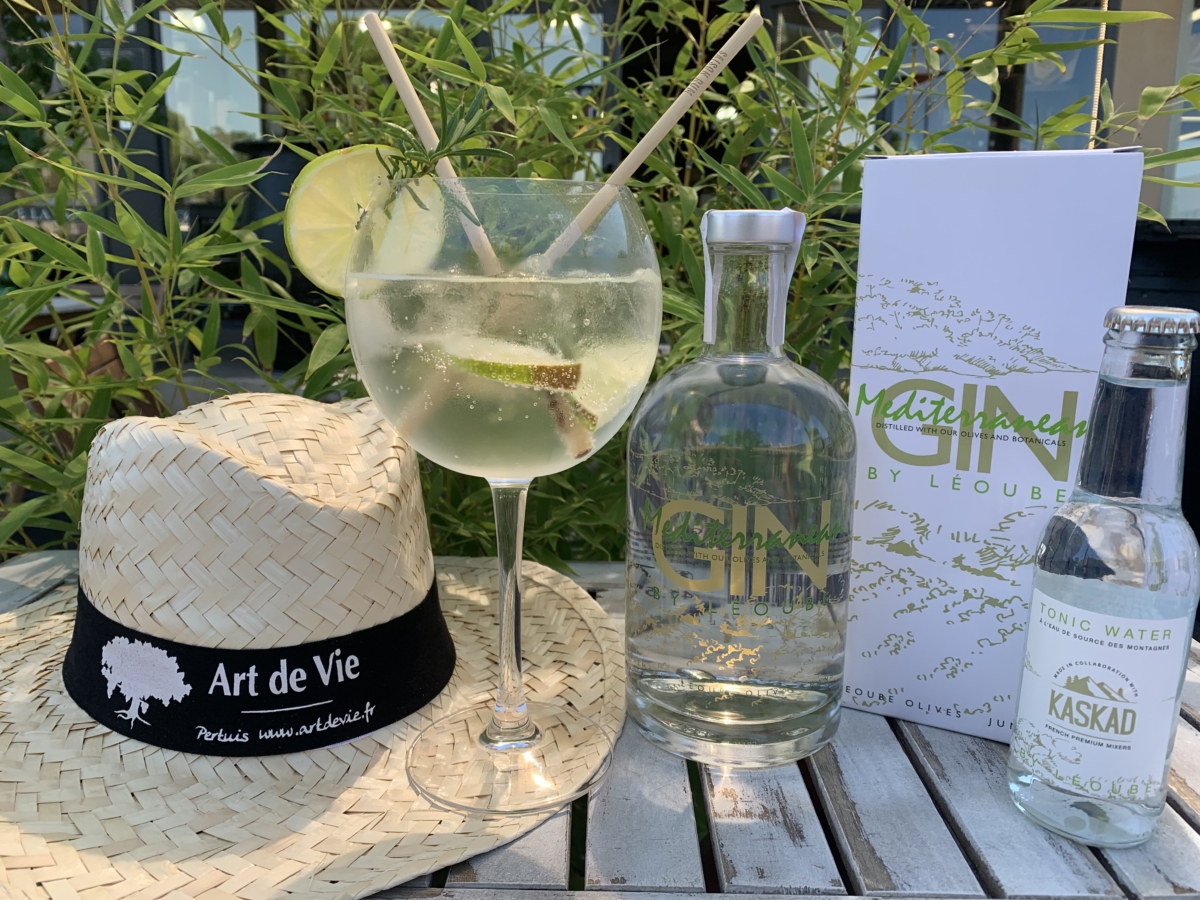 Apéro d'été en terrasse : gin tonic et rosés au soleil